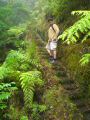 Madeira0860.JPG